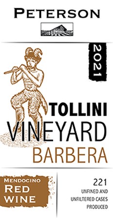 Barbera 2021, Tollini Vineyard